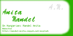 anita mandel business card